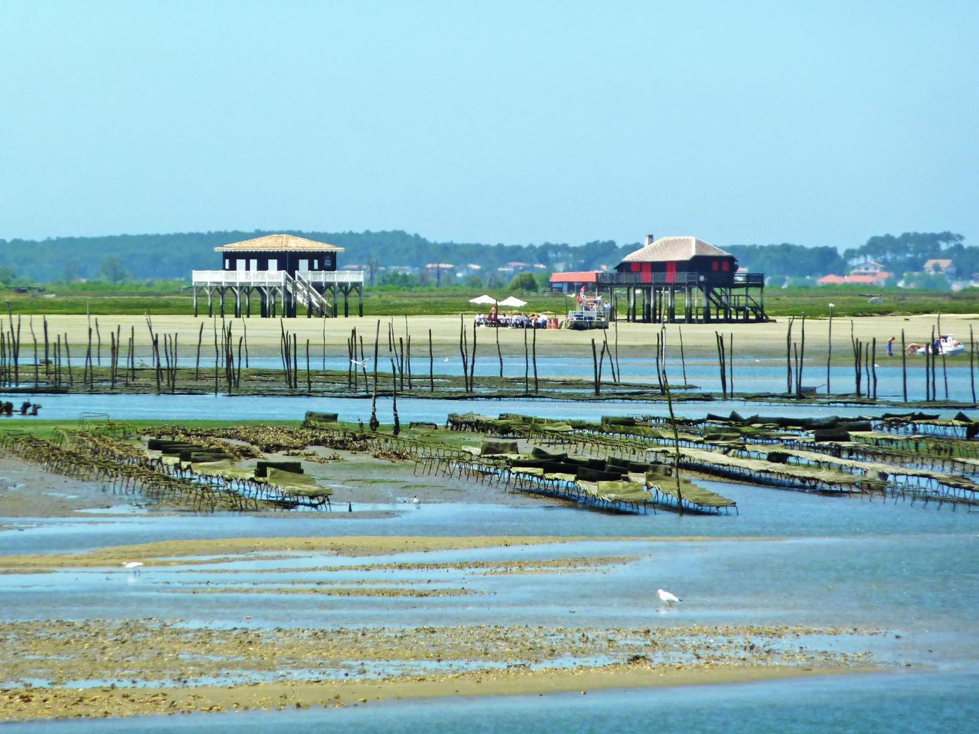 Apartment Sainte Marie By Interhome Arcachon Dış mekan fotoğraf